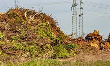 Wichtiges auf einen Blick - Öffnungszeiten Grüngutsammelplatz